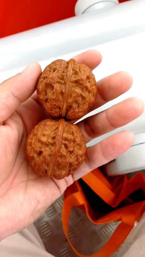 云南纯野生铁核桃两棱蛤蟆头