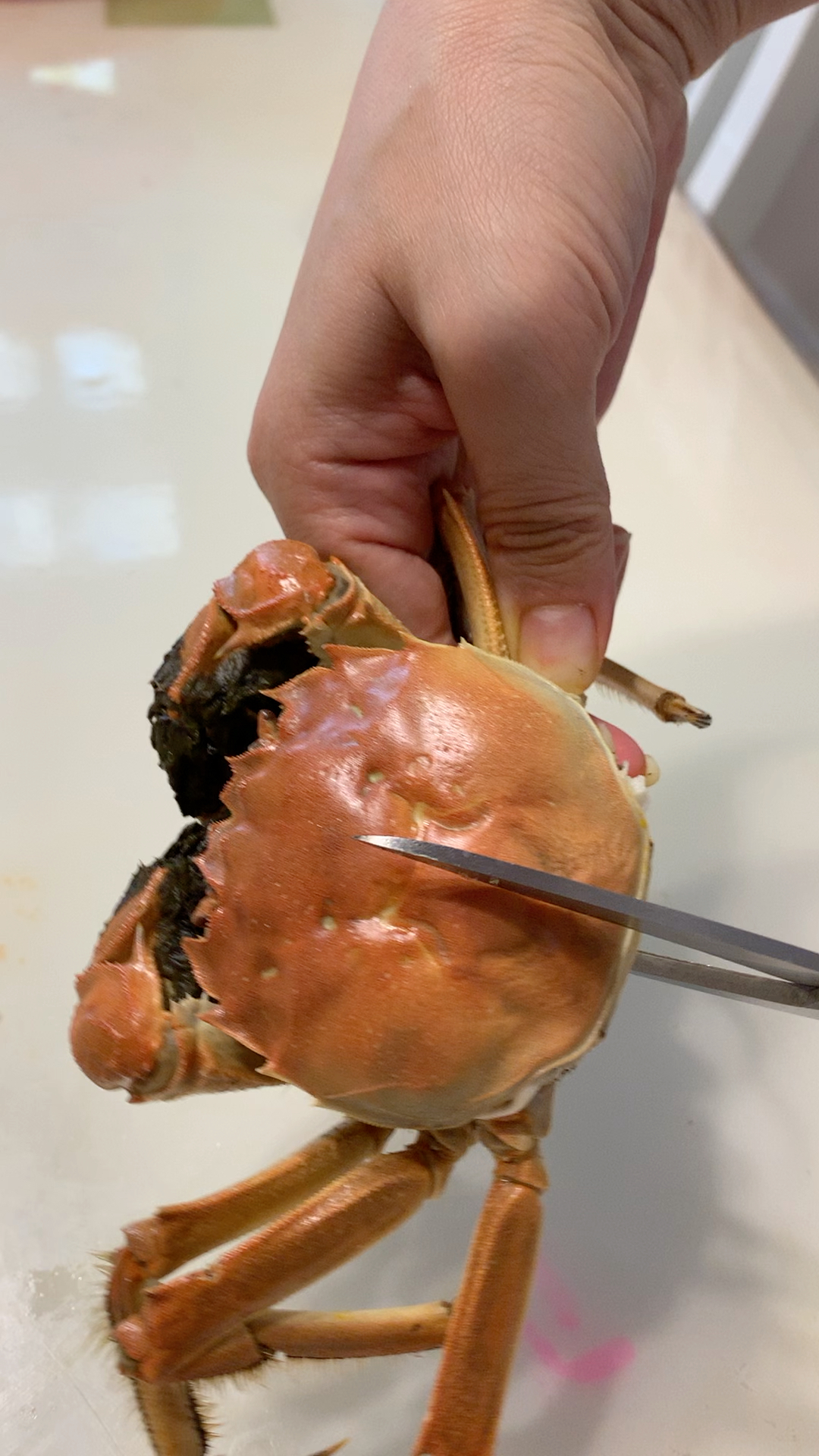 满黄满膏的大肥公蟹,咬一口好香哦