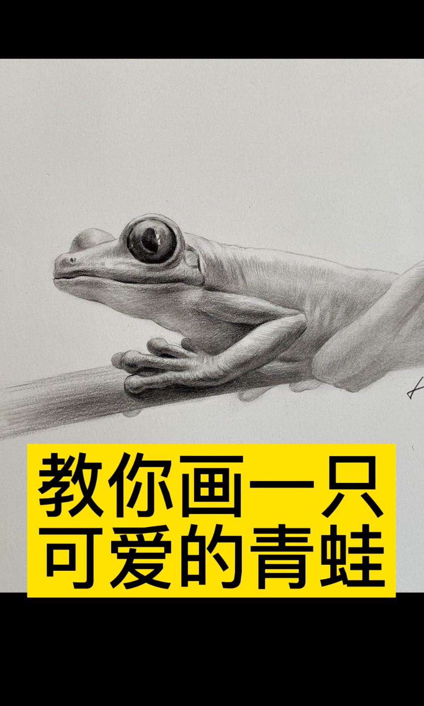 教你画一只可爱的青蛙 #画画 #美术生  #素描
