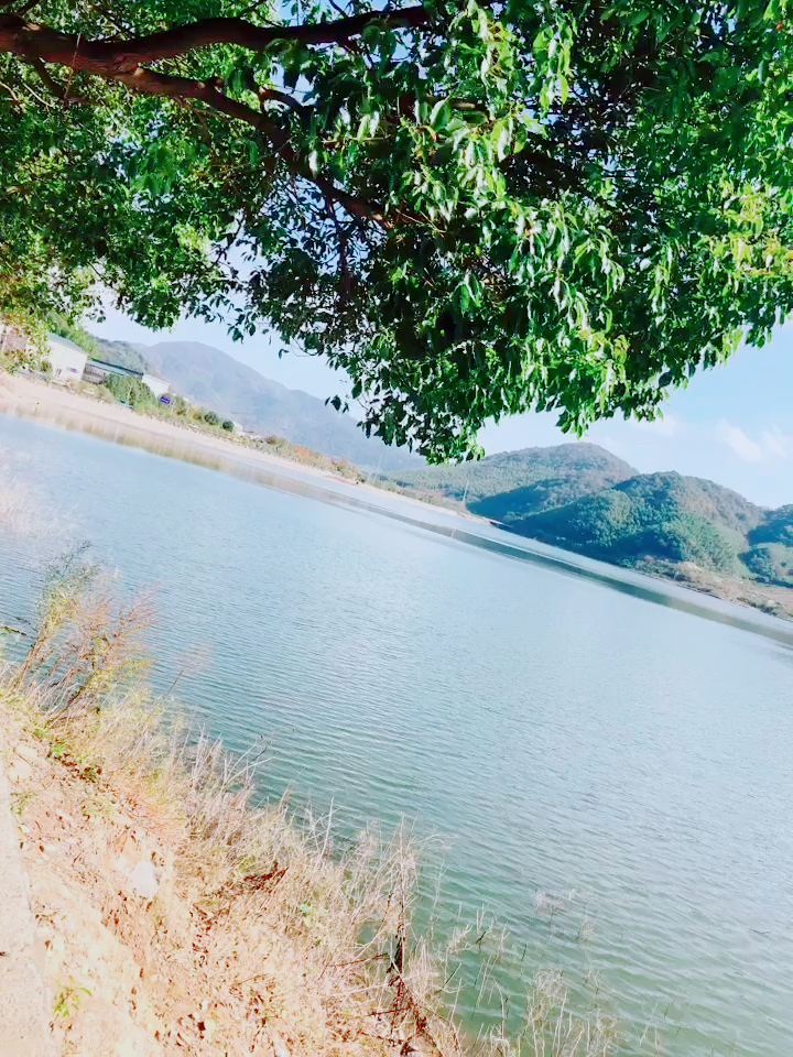 三溪浦水库美美哒