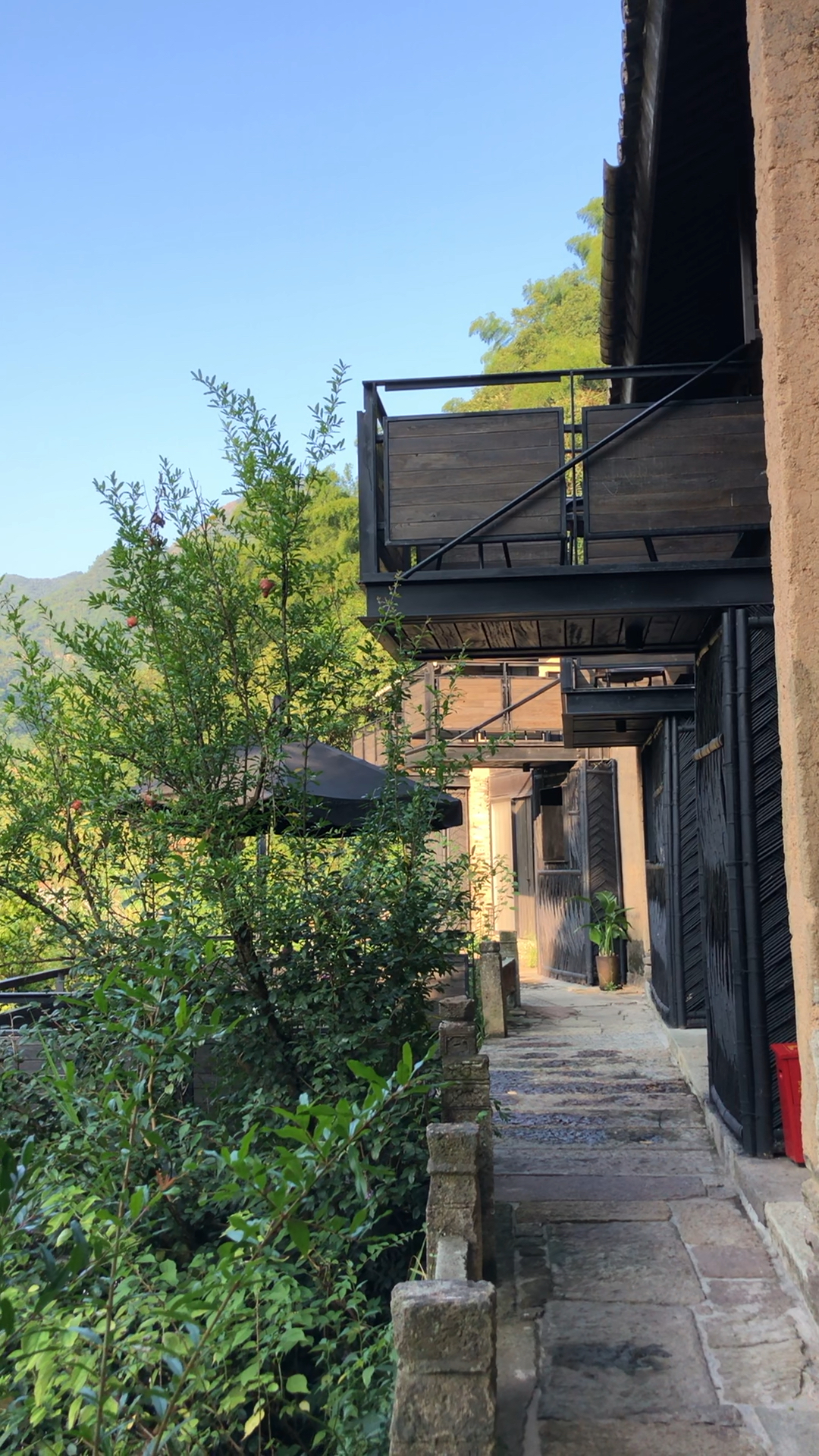 中国最美民宿 不舍野马岭