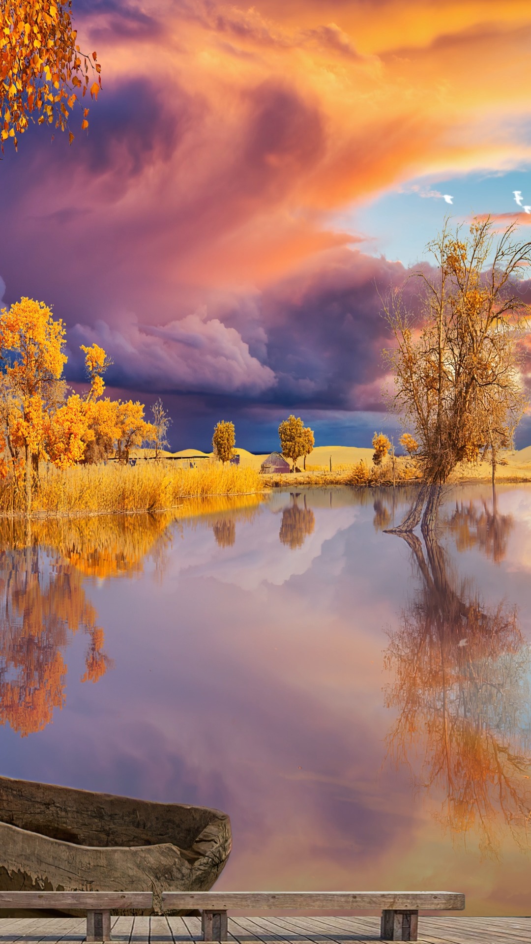 皆是序章,愿你日子清静,抬头遇见的都是柔情,低头看到都是相思#风景