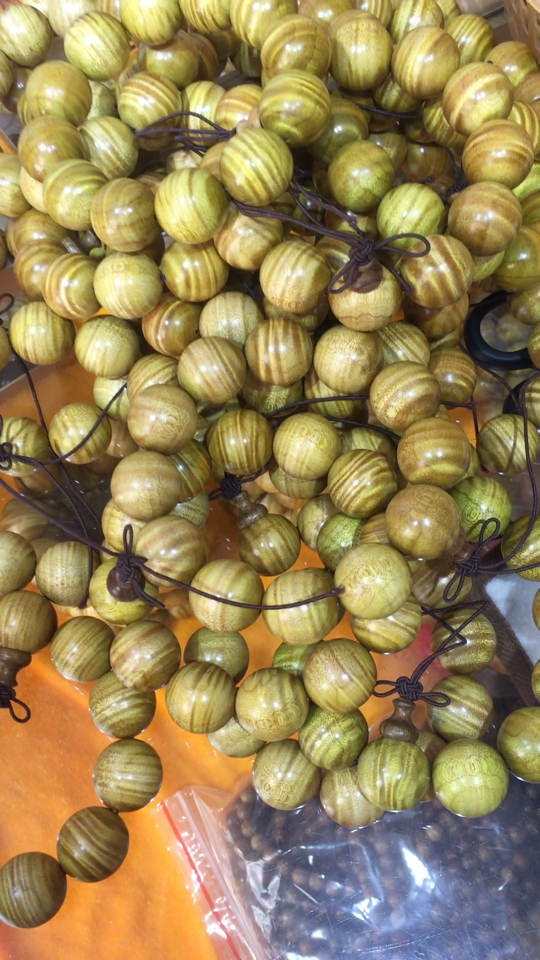 大叶桢楠 已成品 价不高  喜欢的给99流言77关注