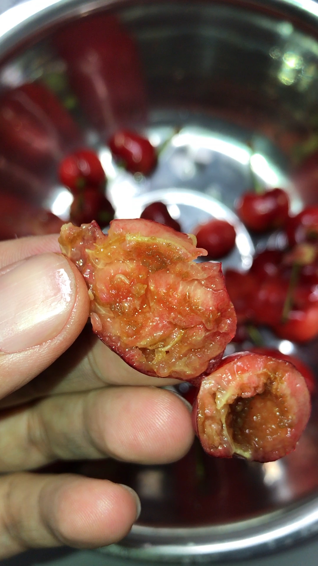 樱桃90里面有白色虫子,蛆一样.