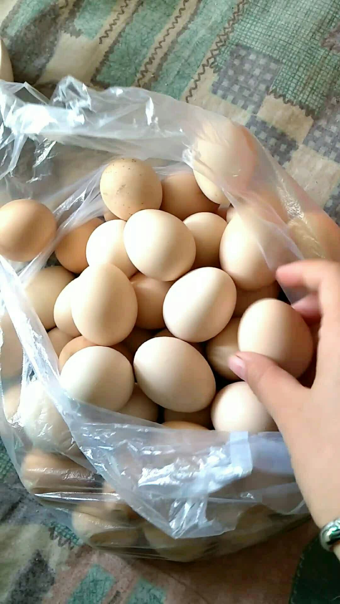 假鸡蛋!送礼送来的!989898