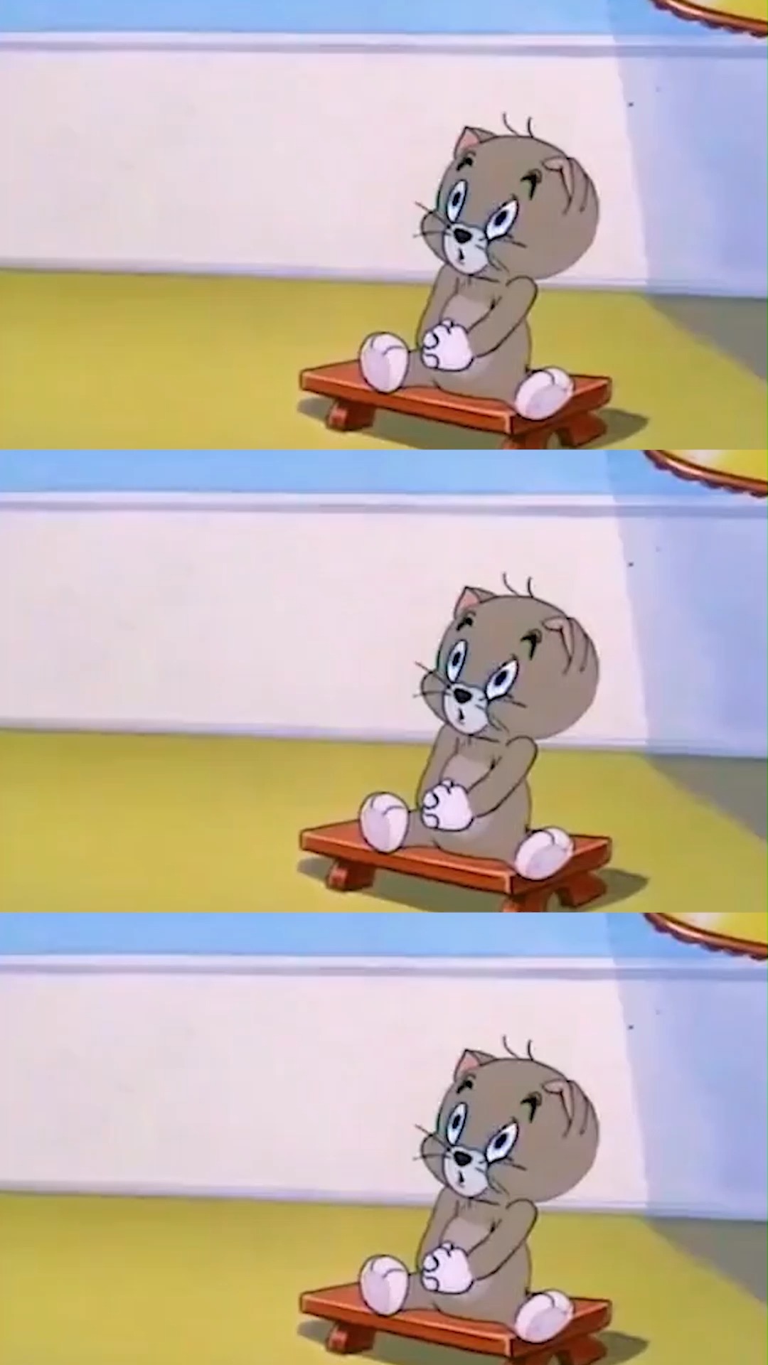 还记得这只小可爱的名字吗#猫和老鼠