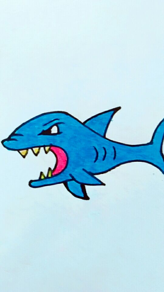 凶猛的鲨鱼简笔画,重点头部画法.