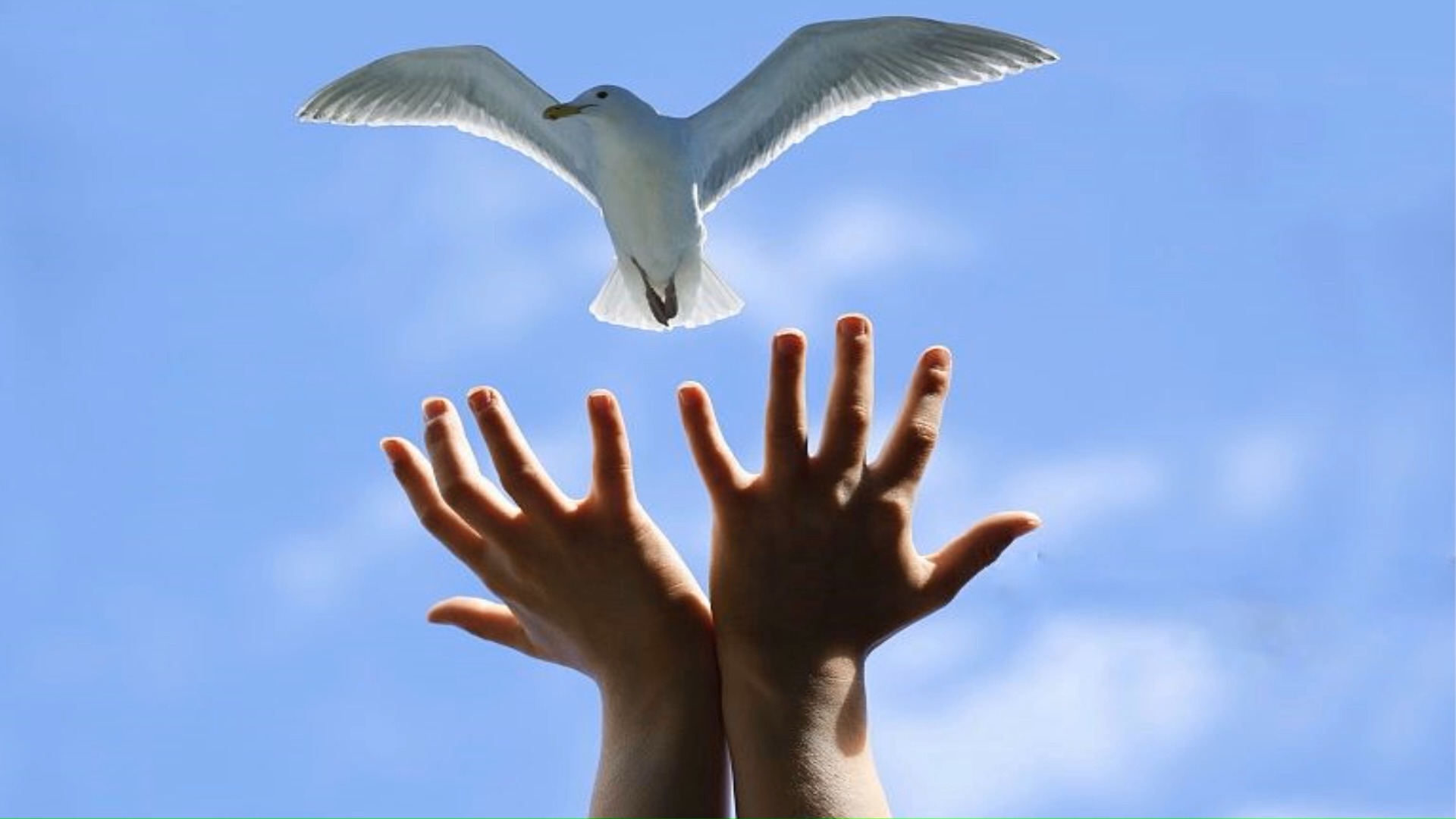 中国梁毅老师与西班牙两编舞大师合编的排舞(放飞).