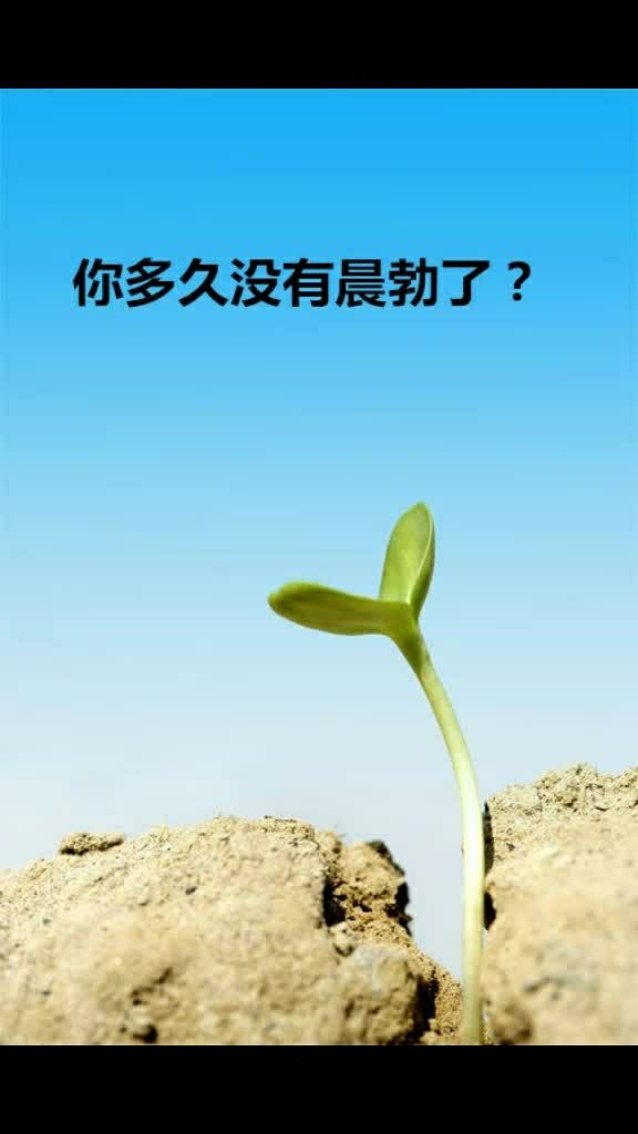 你早上多久没有一柱擎天了?