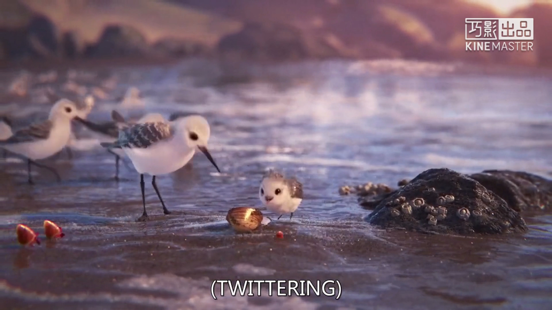 皮克斯动画短片 鹬 6 小鹬祝你好梦.