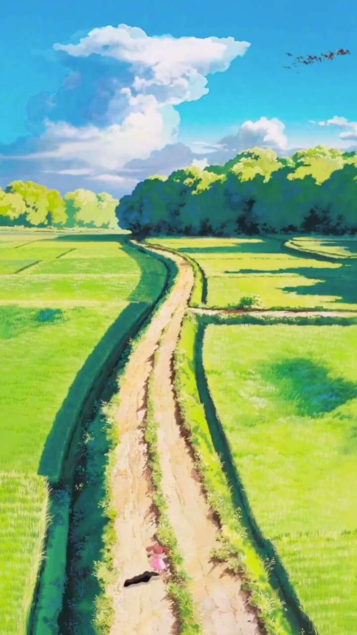 宫崎骏里的夏天 天空很蓝 绿树成荫 稻田很香 你想进去和她奔跑在美丽