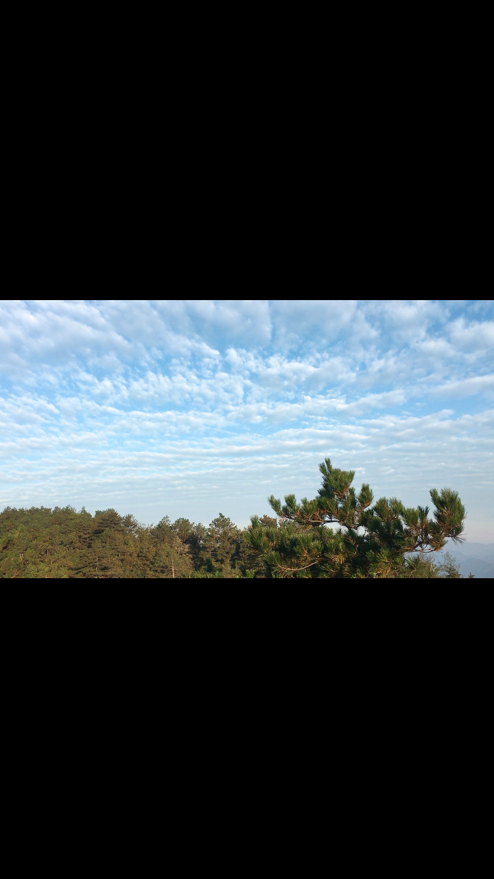 泰顺天关山 爬爬更健康