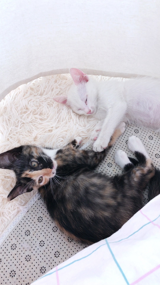 两个躲在这里干些悄悄咪咪的事情