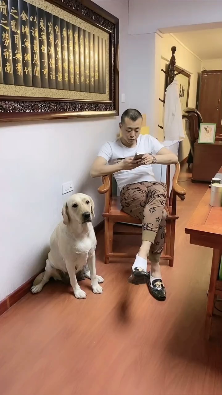 臭老头,还不把你臭脚丫拿走