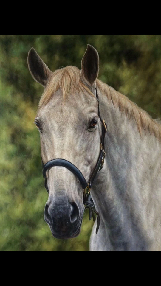 写实油画 马头,尺寸100*75cm