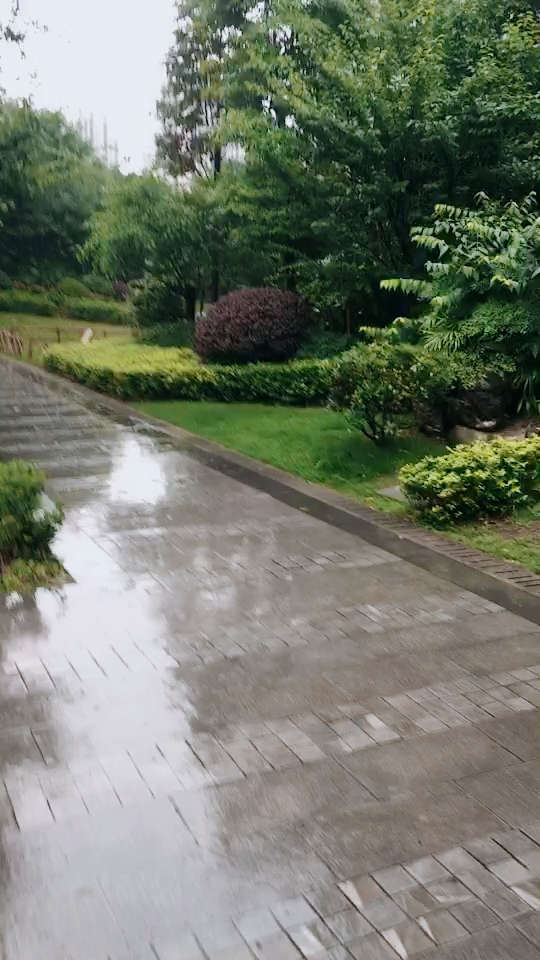 重庆下雨了,好凉快!