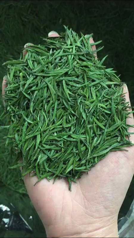 冬扁竹,色泽翠绿,高山纯单芽,芽头饱满无青味,冲泡一天不变汤,回甘