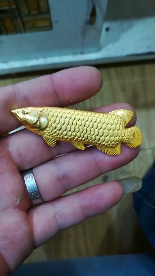 au999黄金,金龙鱼100克