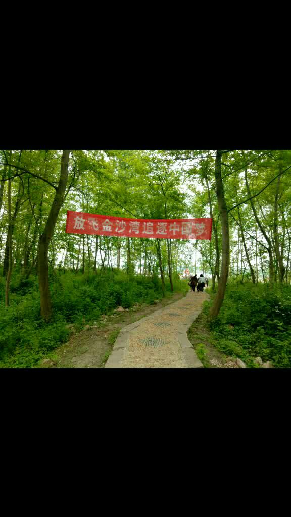 安徽省枞阳县铁铜乡新丰村金沙湾欢迎您!