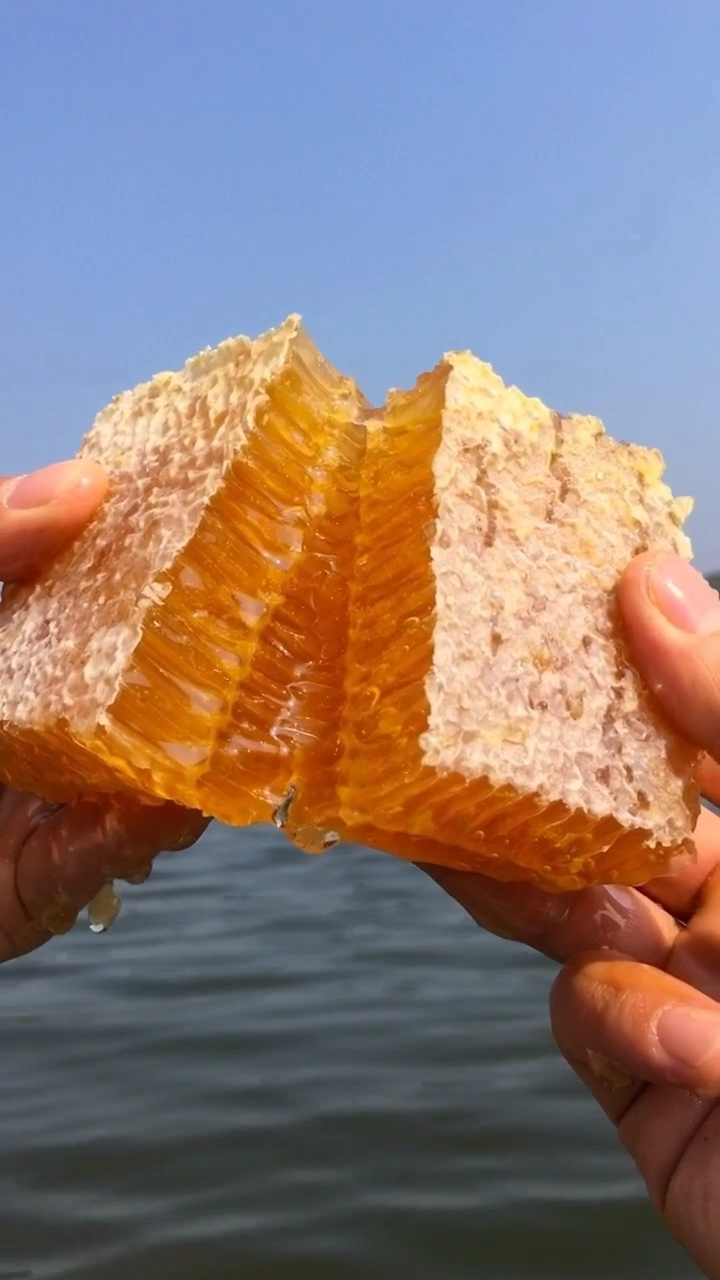 掰开一块完整的蜂蜜,觉得漂亮的朋友支持一下