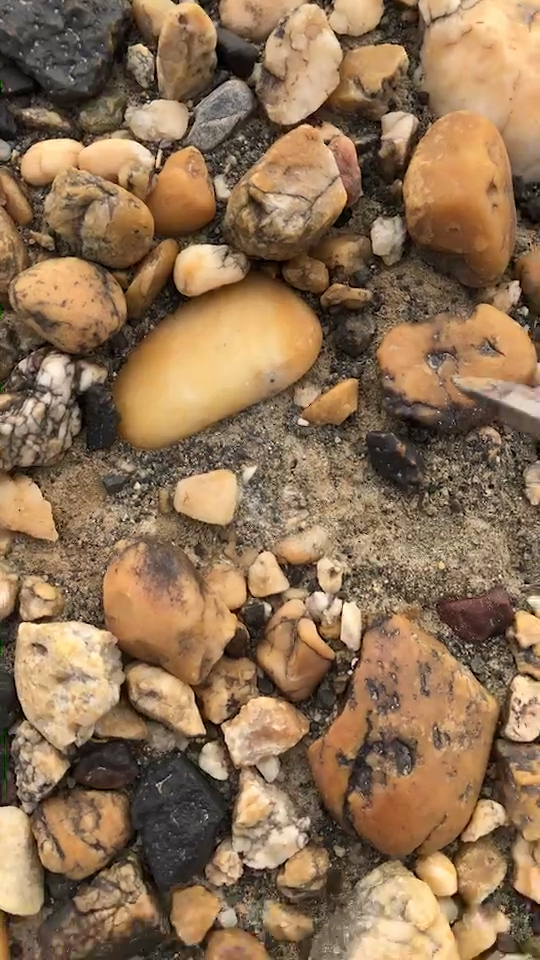 新疆克拉玛依戈壁滩捡石生活