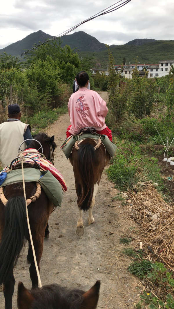 麗江茶馬古道,妹妹騎著馬,馬在幹什麼呢?自行找亮點吧你們!哈哈