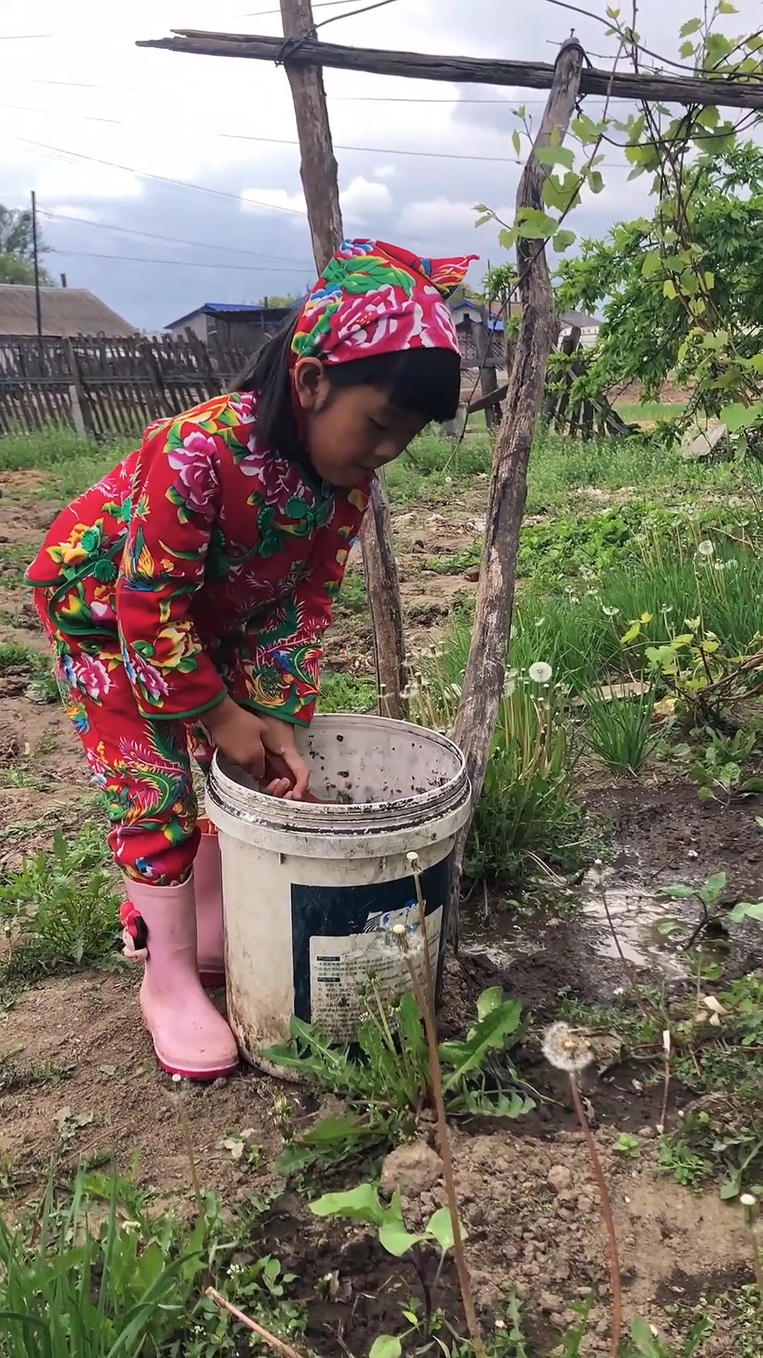 农村生活 我是美佳,一个来自农村的小女孩,我们这里有肥沃的黑土岛屯