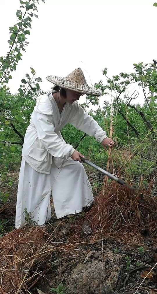 割茅草铺下房顶,下过雨的空气满满的清新
