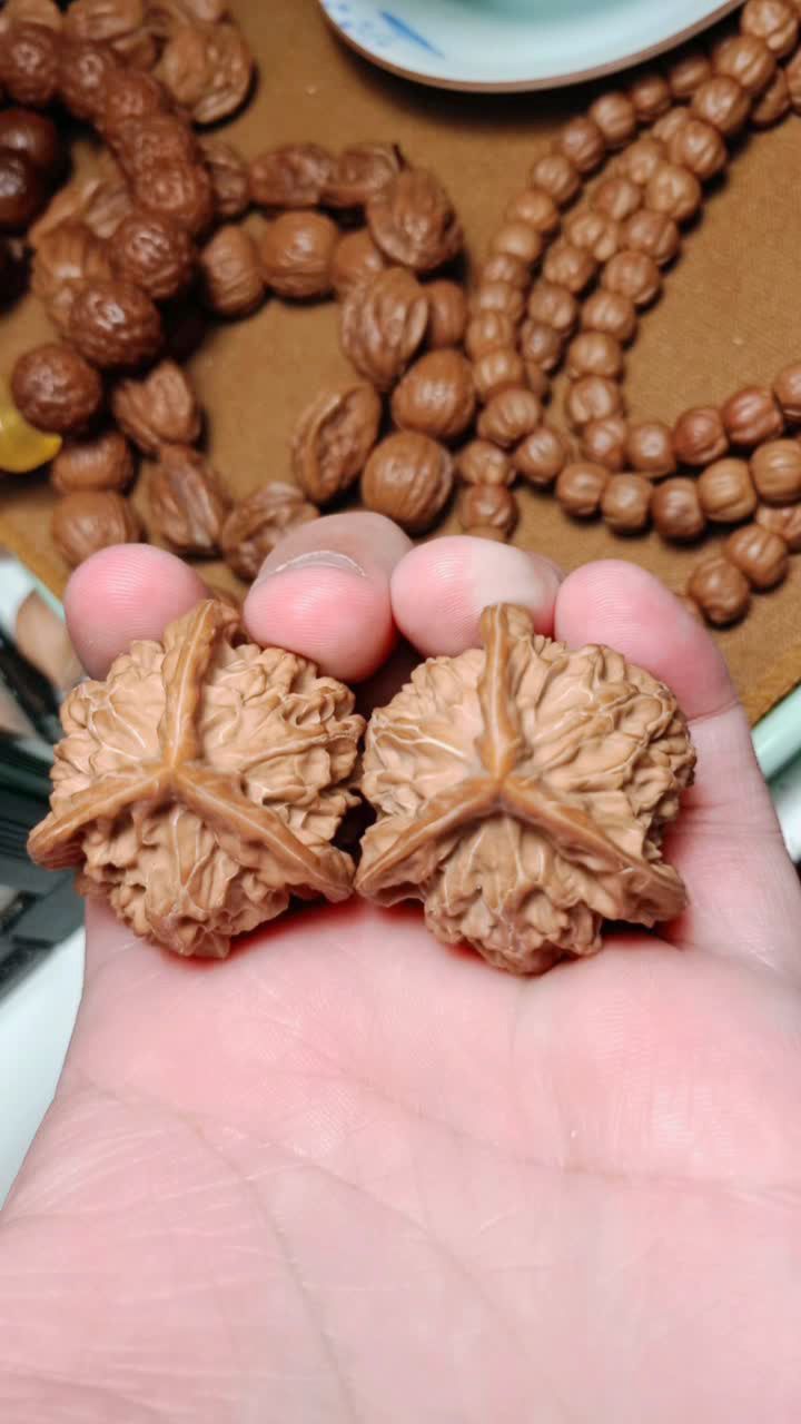 盘山公子帽三棱