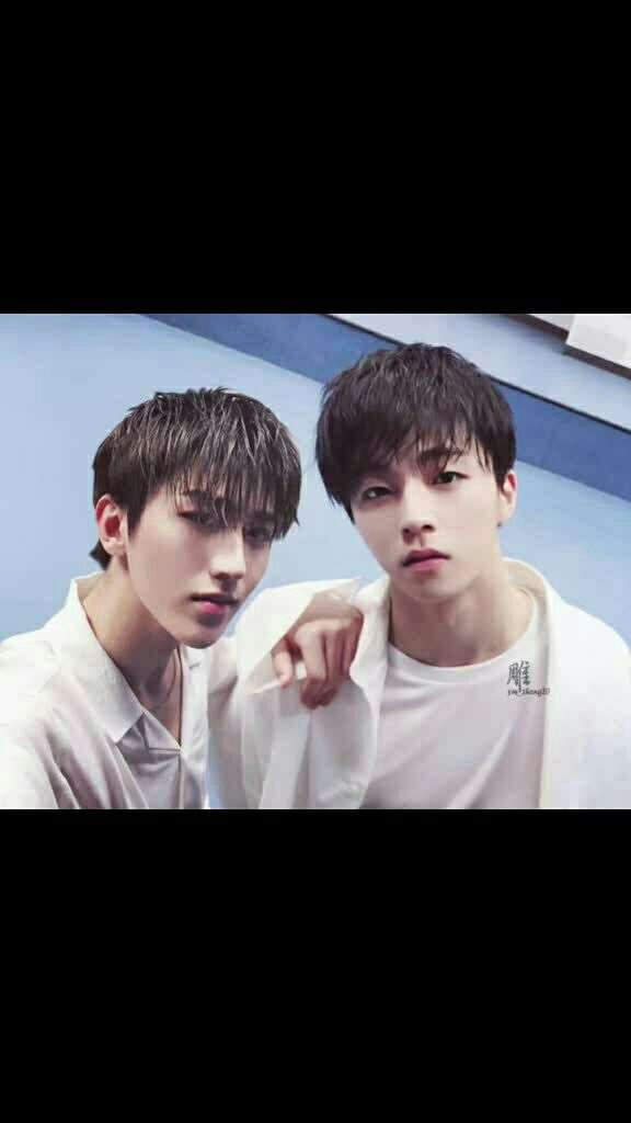 突然觉得农农和坤坤很配,桃浦王兔一起走下去吧