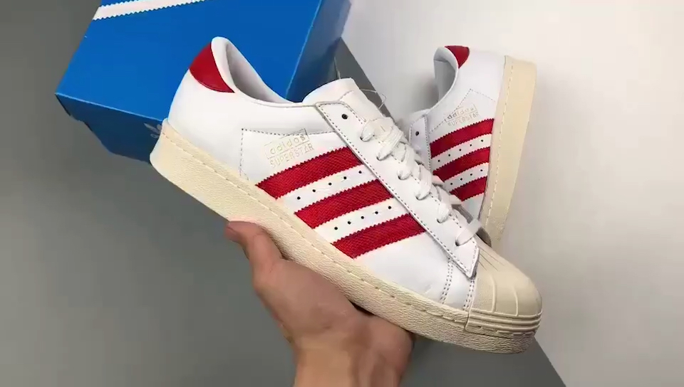 红白贝壳头,经典如初