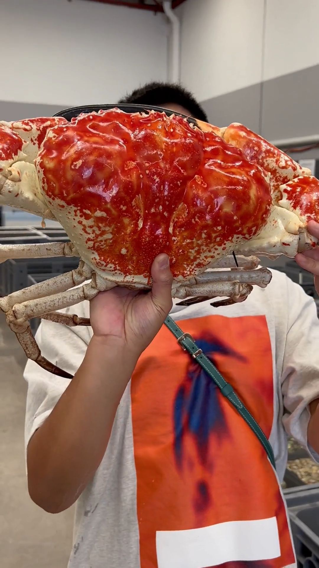 美食 #生腌 #海鲜 #火锅 #龙虾 #帝王蟹