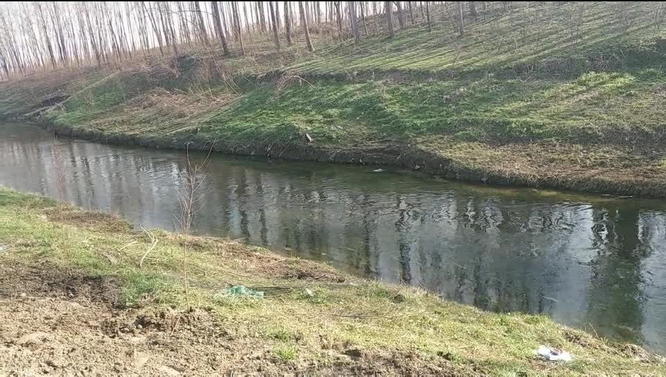 自制土炮,有点好玩.98