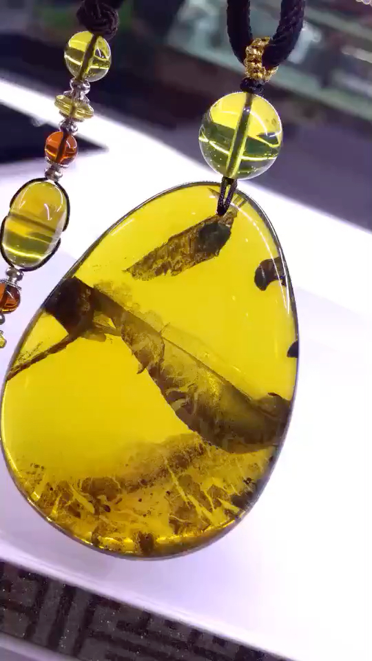 缅甸琥珀蜜蜡特色植物珀