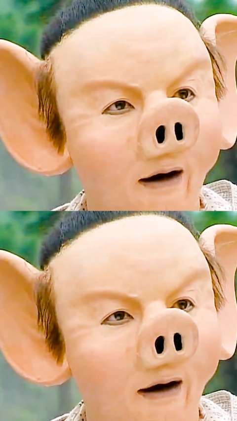 徐峥版猪八戒,童年的回忆 #春光灿烂猪八戒