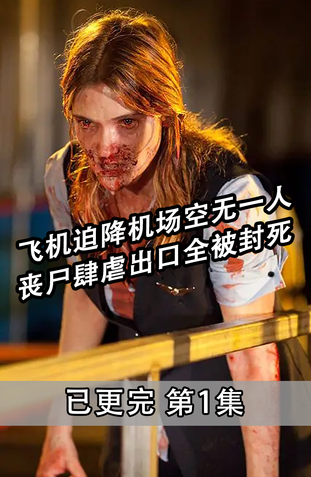 飞机迫降洛杉矶,机场空无一人.#隔离区2终点站