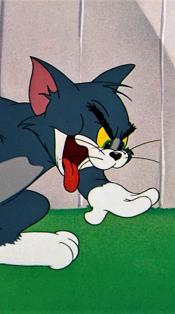 自信即巅峰#猫和老鼠