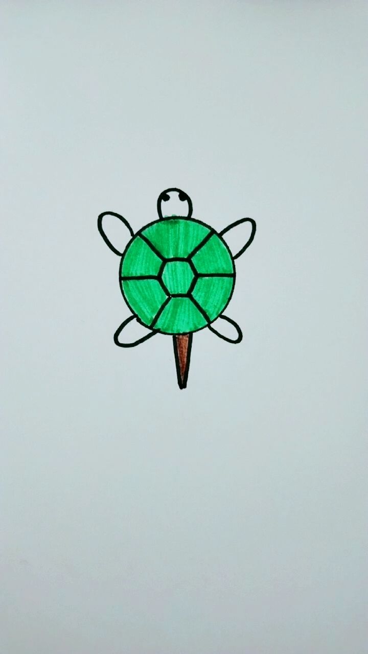 简单画小乌龟!