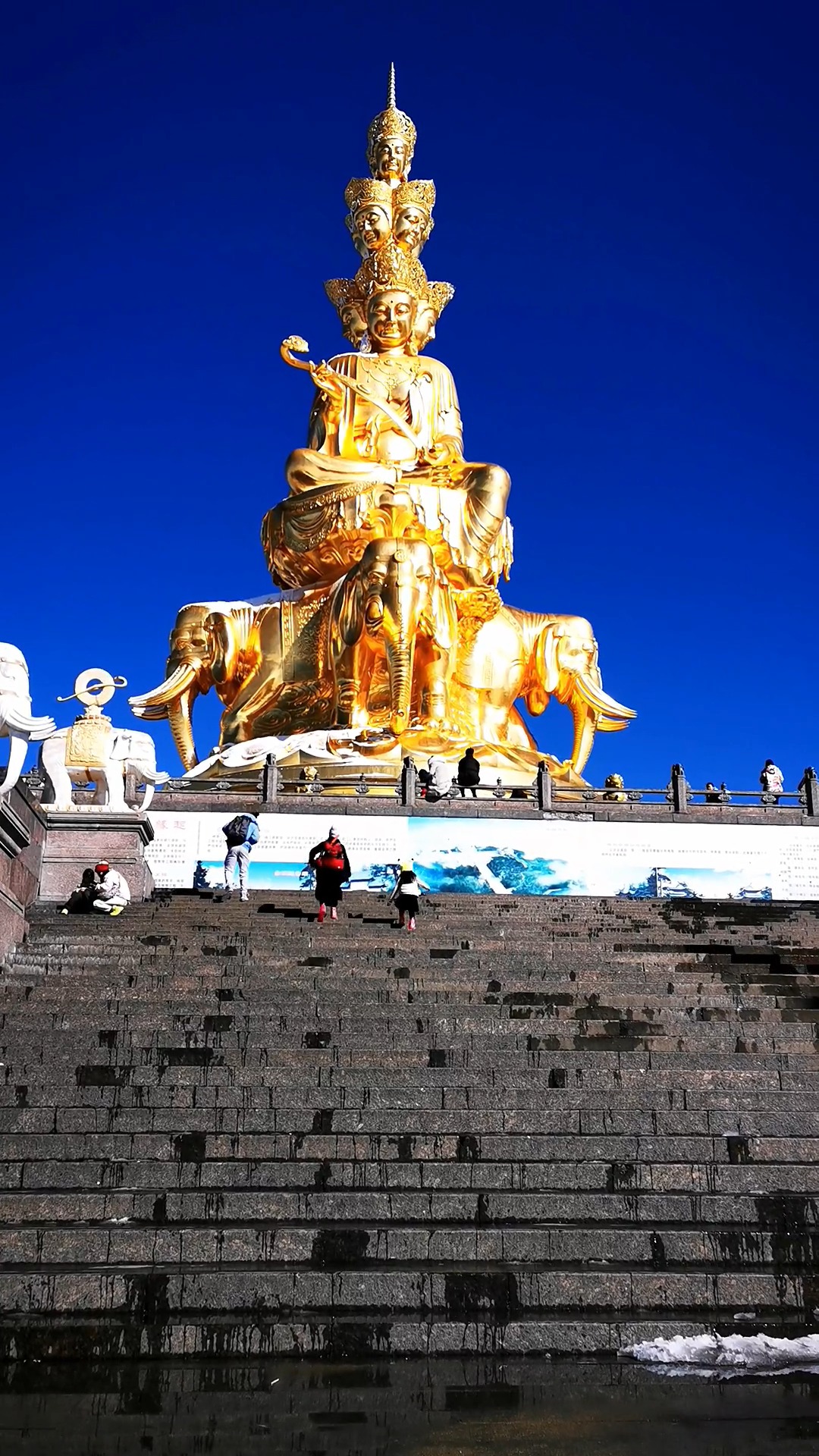 见此视频者,保你2021年像牛一样牛#峨眉山 #十方普贤