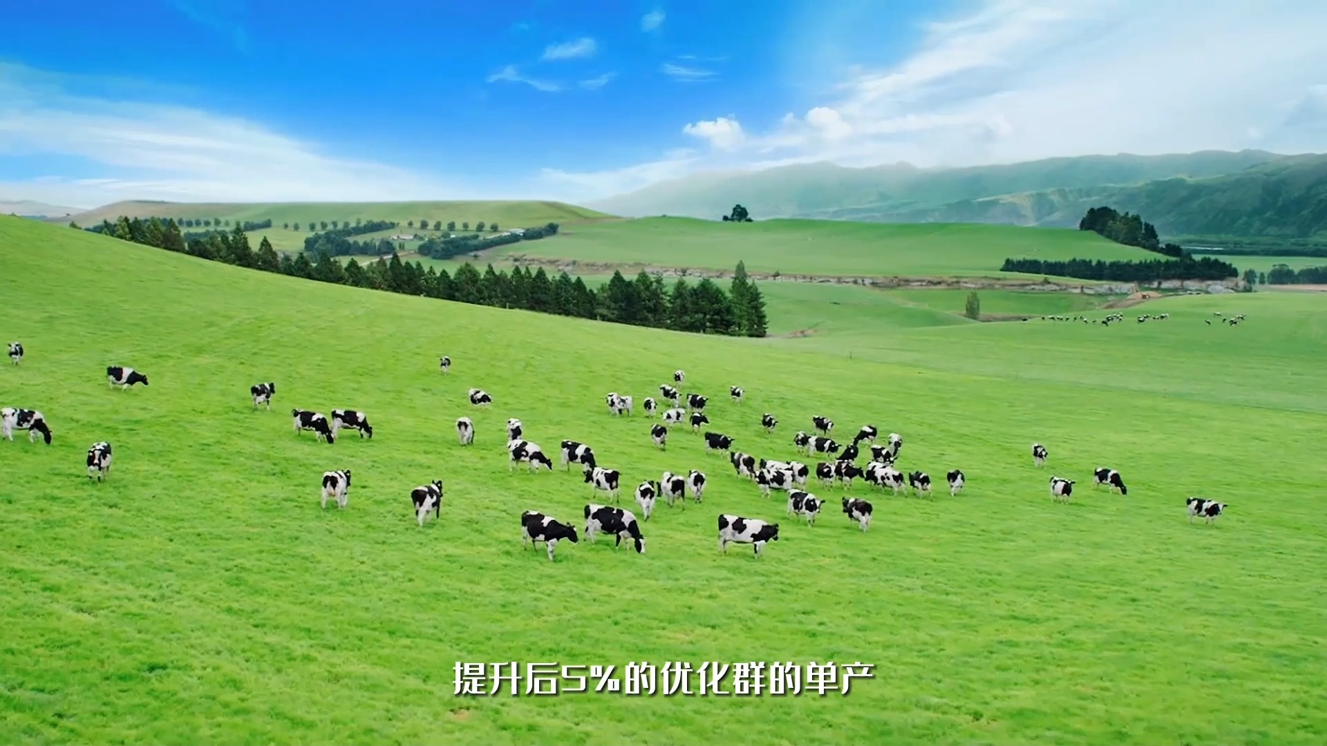 探秘优然牧业胚胎牛生产基地——优然济南牧场