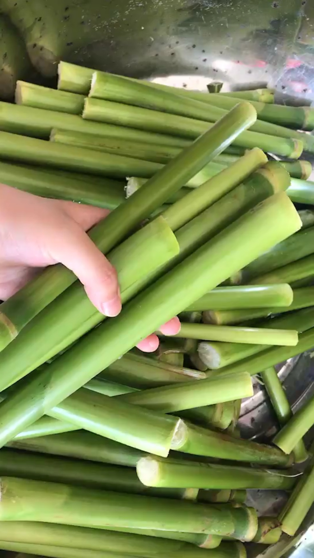 8090后小时候的记忆,你们吃过这个甜杆吗?