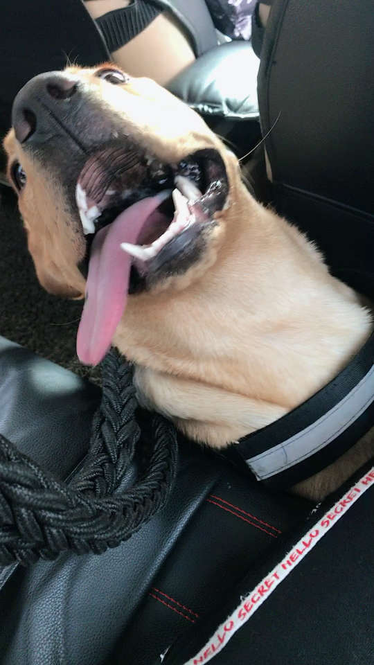 哈喇子流的一嘴98.