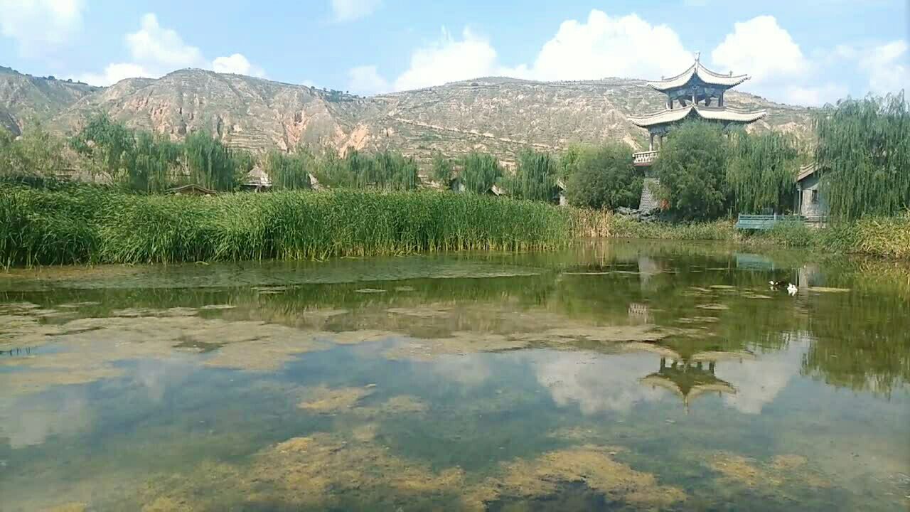 陇西碧游宫9090909090