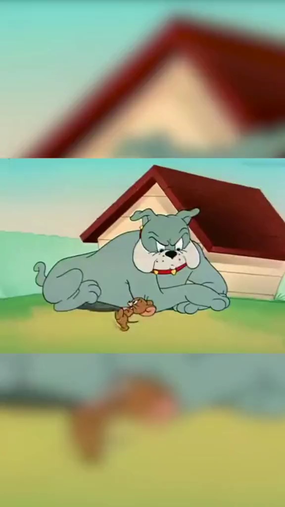 猫和老鼠里这狗子的操作秀到我了