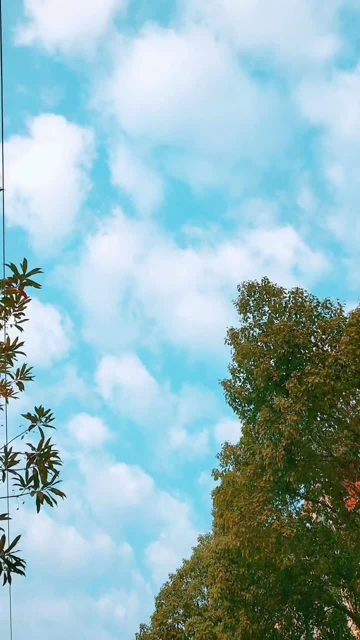 静静的望着天空,回忆过去的点点滴滴,发现,原来完美已渐渐老去