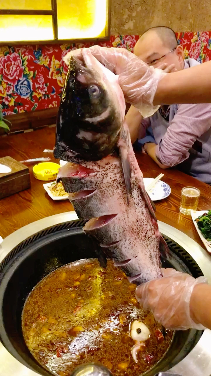 嘎嘎新鲜的野生大胖头鱼下锅了嘎嘎香[捂脸]