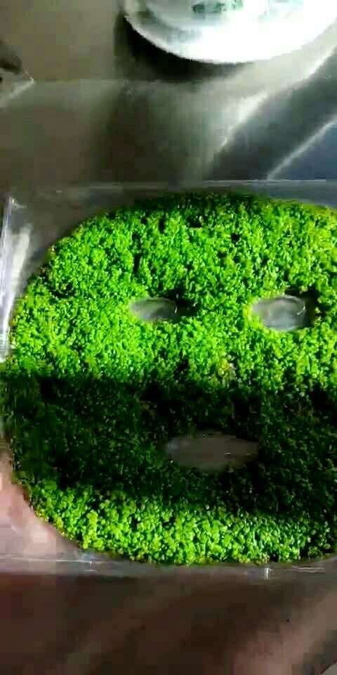 纯植物海藻面膜,天然到可以发芽 桓氏大门向你敞开7515