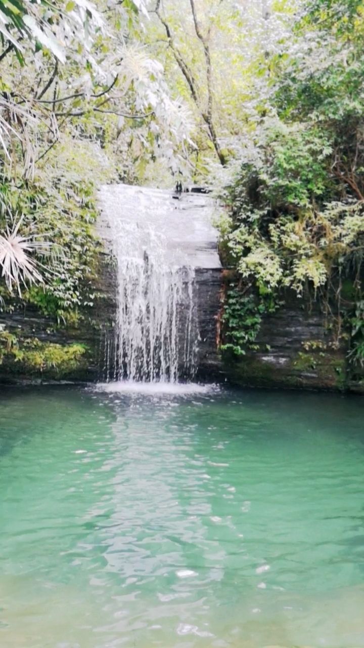 世界苗乡  养心彭心  高山泉水  大自然风景,酿造深山洞藏美酒