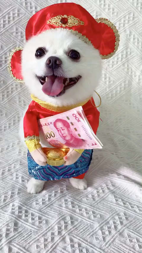 恭贺大家数钱数到手抽筋