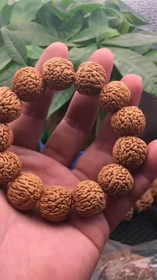 1.9凤尾桃核手串